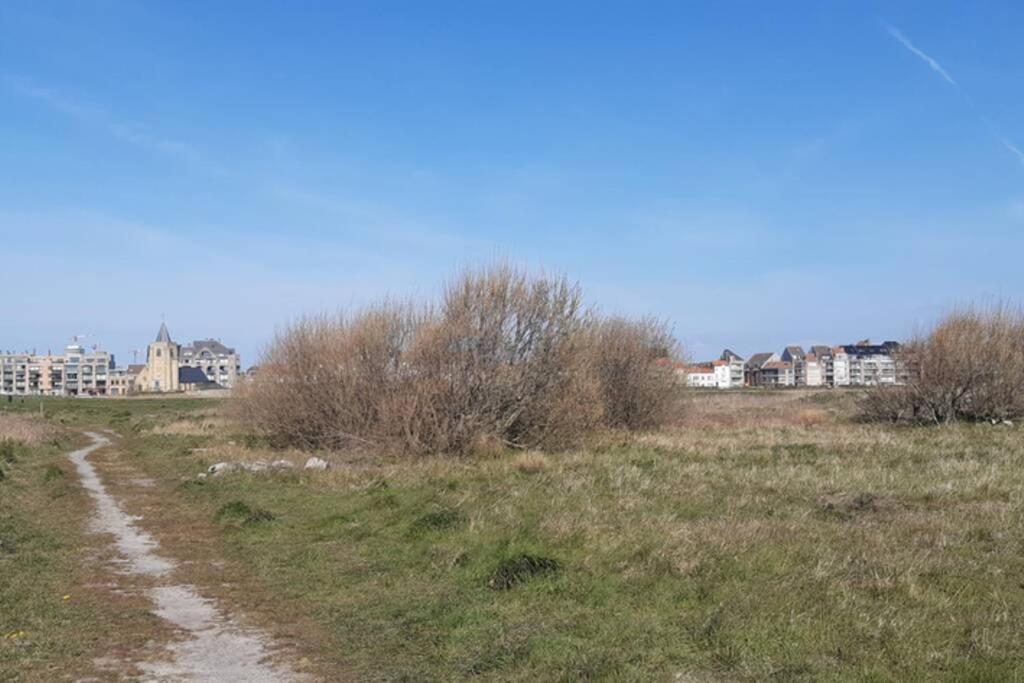 Oostende Studio Voor 2 Of 3 Pers Met Zeezicht Εξωτερικό φωτογραφία